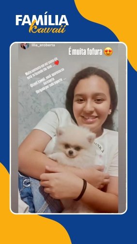 Filhote de Sptiz creme